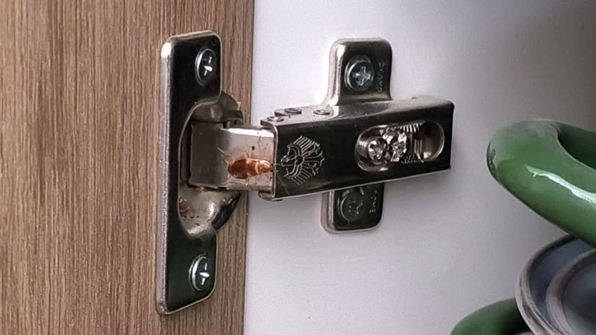 سوسک ریز کابینت آشپزخانه