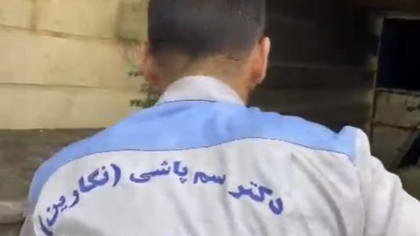 معرفی شرکت نگارین تندیس