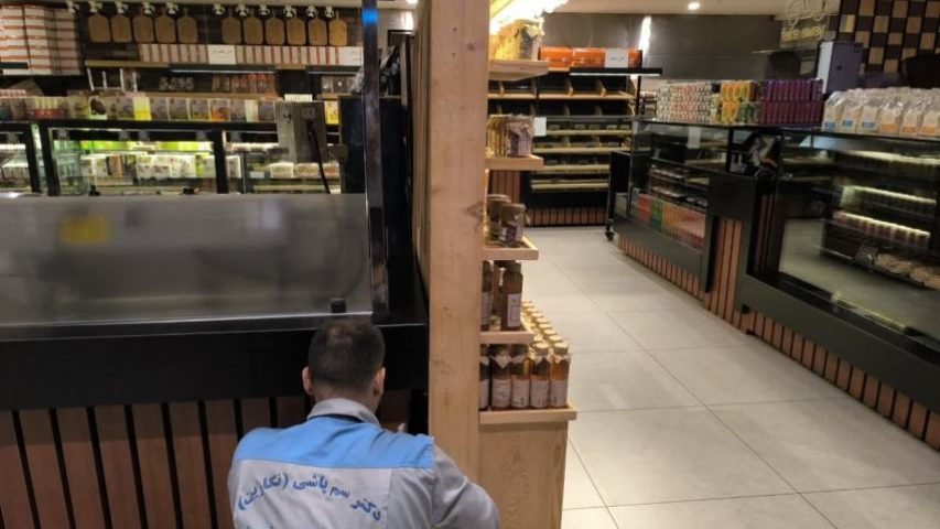 روشهای موثر سمپاشی سوسک