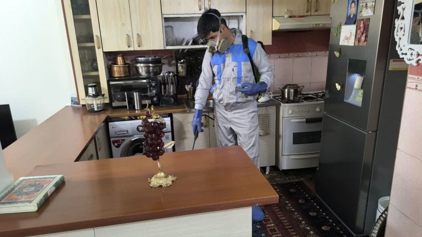 سمپاشی نگارین تندیس